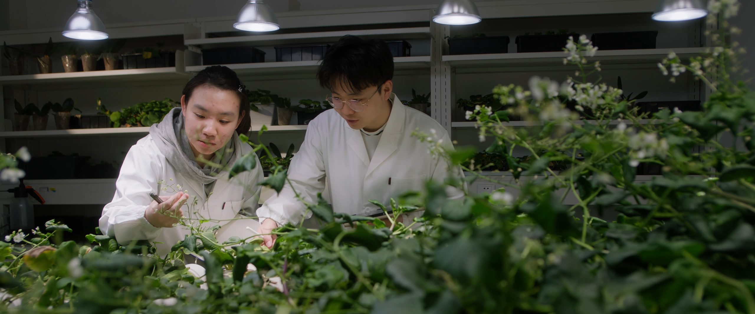健康与环境科学乐发lv与研究实验室