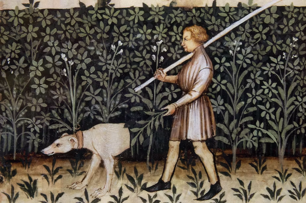 Five common English words we don*t know the origins of 每 including &boy* and &dog*